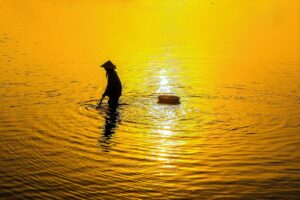 育毛剤の使い方を効果的にマスターするには？