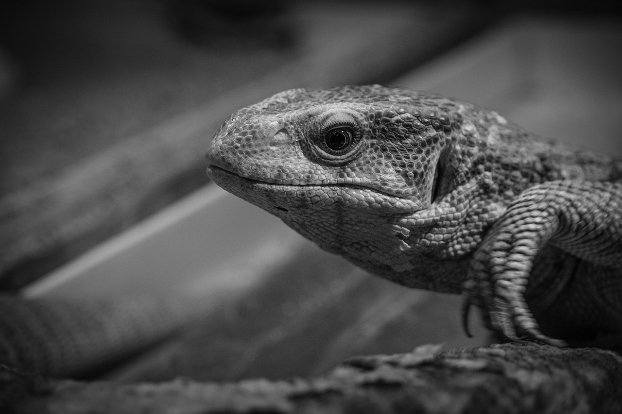 白髪染めと薄毛を同時に解決する方法は？