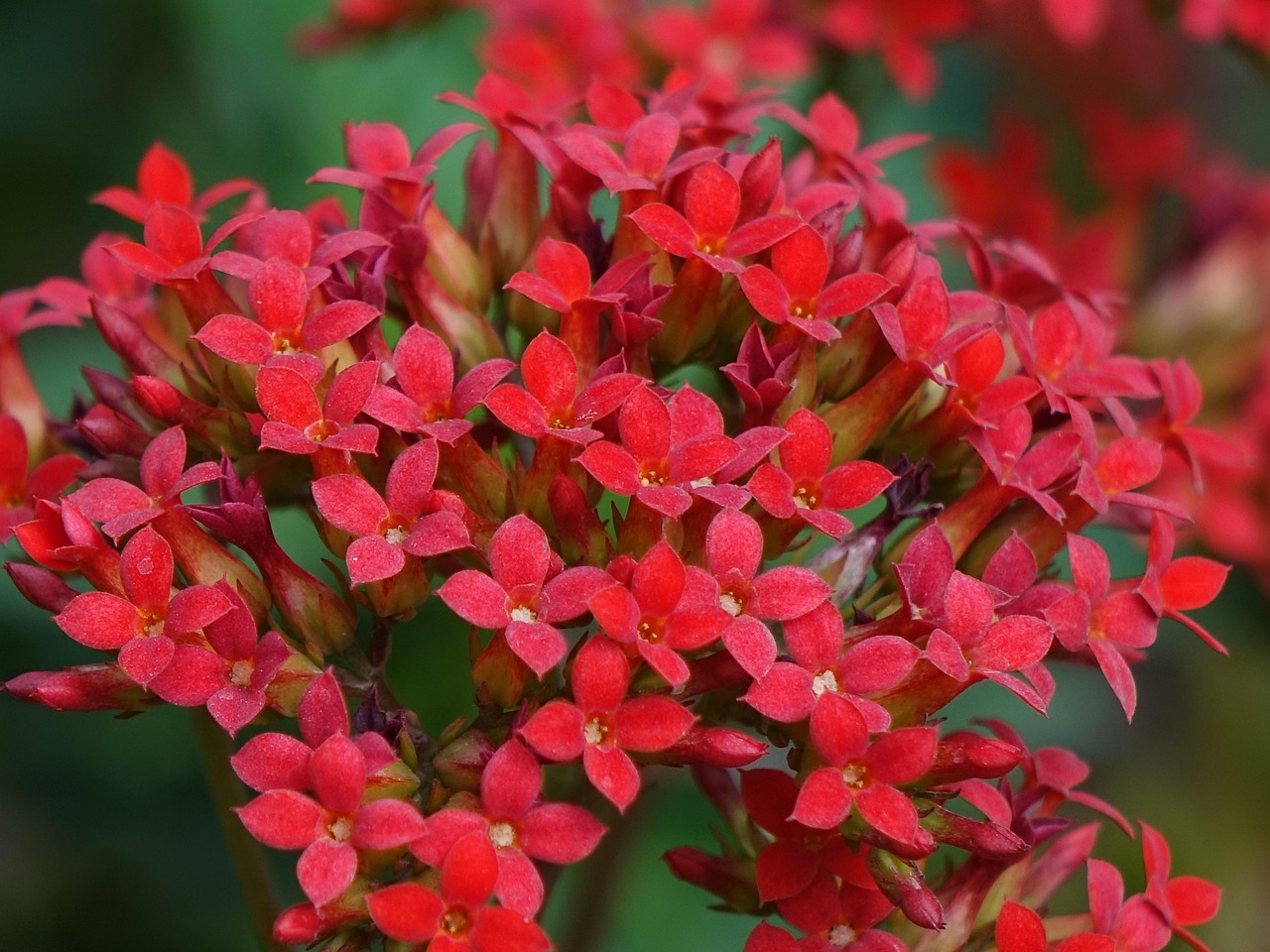 育毛剤を使うタイミングはいつがベストですか？