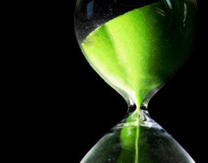 育毛剤の効果的な使用タイミングはいつですか？