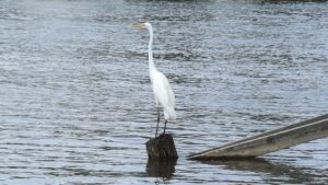 産後の抜け毛はいつまで続くのか、原因と対策は？