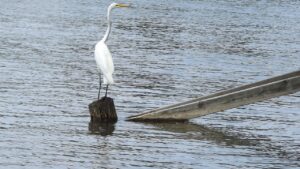産後の抜け毛はいつまで続くのか知りたいですか？